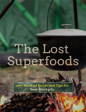 The Lost Superfoods eBook